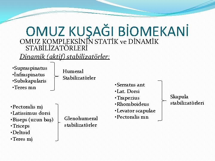 OMUZ KUŞAĞI BİOMEKANİ OMUZ KOMPLEKSİNİN STATİK ve DİNAMİK STABİLİZATÖRLERİ Dinamik (aktif) stabilizatörler: • Supraspinatus