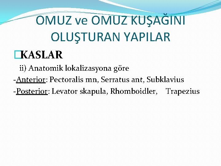 OMUZ ve OMUZ KUŞAĞINI OLUŞTURAN YAPILAR �KASLAR ii) Anatomik lokalizasyona göre -Anterior: Pectoralis mn,