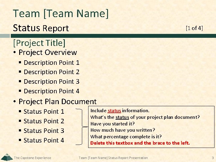 Team [Team Name] Status Report [1 of 4] [Project Title] • Project Overview §