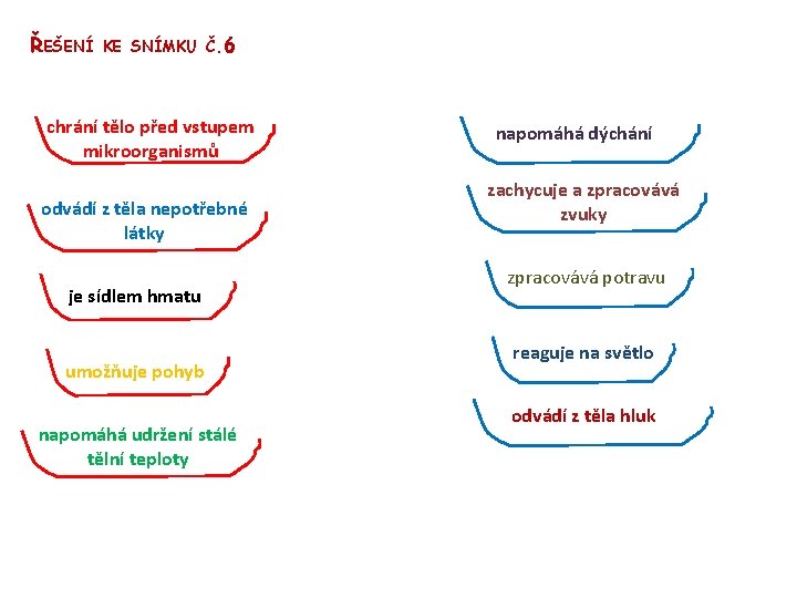 ŘEŠENÍ KE SNÍMKU Č. 6 chrání tělo před vstupem mikroorganismů odvádí z těla nepotřebné