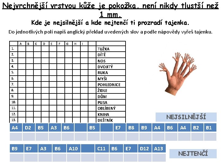 Nejvrchnější vrstvou kůže je pokožka, není nikdy tlustší než 1 mm. Kde je nejsilnější