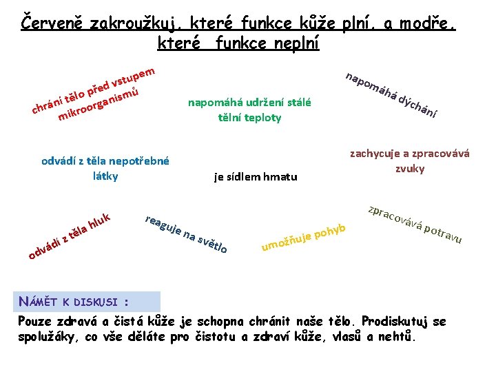 Červeně zakroužkuj, které funkce kůže plní, a modře, které funkce neplní pem u t