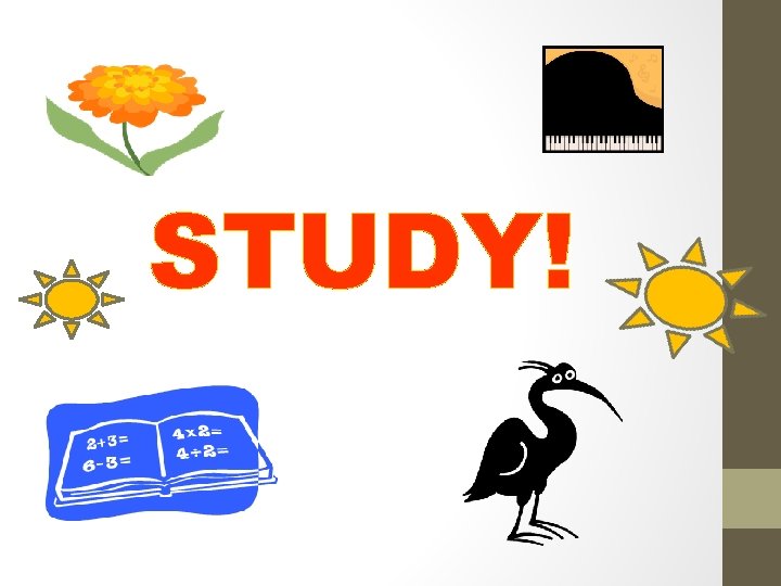 STUDY! 