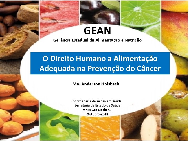 GEAN Gerência Estadual de Alimentação e Nutrição O Direito Humano a Alimentação Coordenaria Estadual
