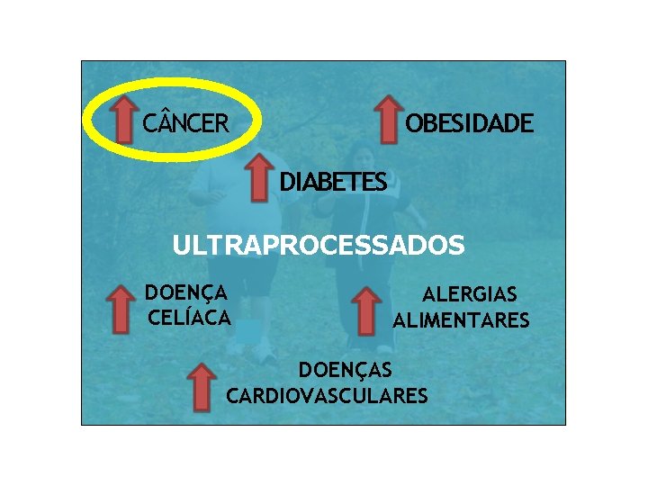 OBESIDADE C NCER DIABETES ULTRAPROCESSADOS DOENÇA CELÍACA ALERGIAS ALIMENTARES DOENÇAS CARDIOVASCULARES 