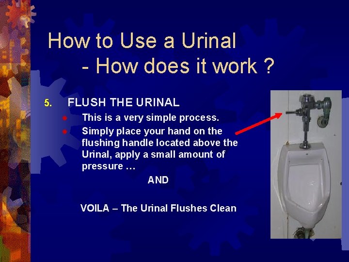 How to Use a Urinal - How does it work ? 5. FLUSH THE