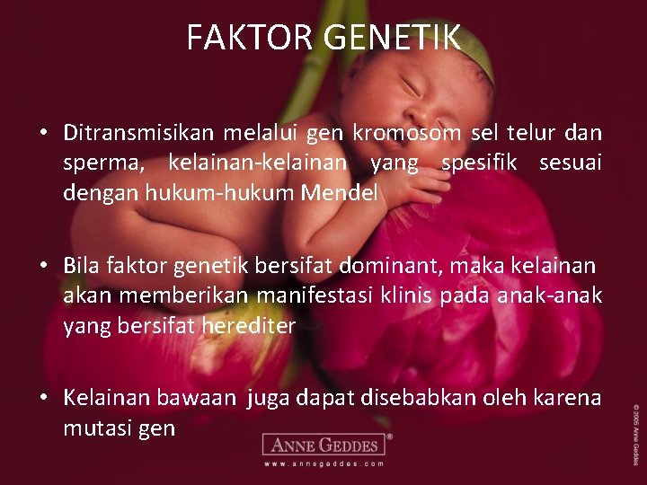 FAKTOR GENETIK • Ditransmisikan melalui gen kromosom sel telur dan sperma, kelainan-kelainan yang spesifik