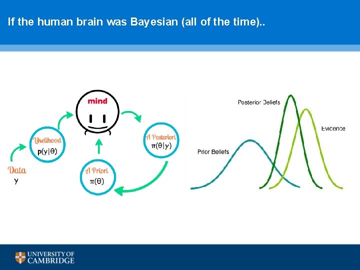  If the human brain was Bayesian (all of the time). . 