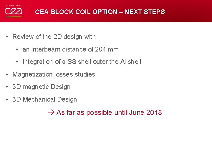 CEA BLOCK COIL OPTION – NEXT STEPS • Review of the 2 D design