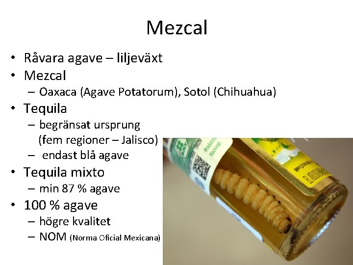 Mezcal • Råvara agave – liljeväxt • Mezcal – Oaxaca (Agave Potatorum), Sotol (Chihuahua)