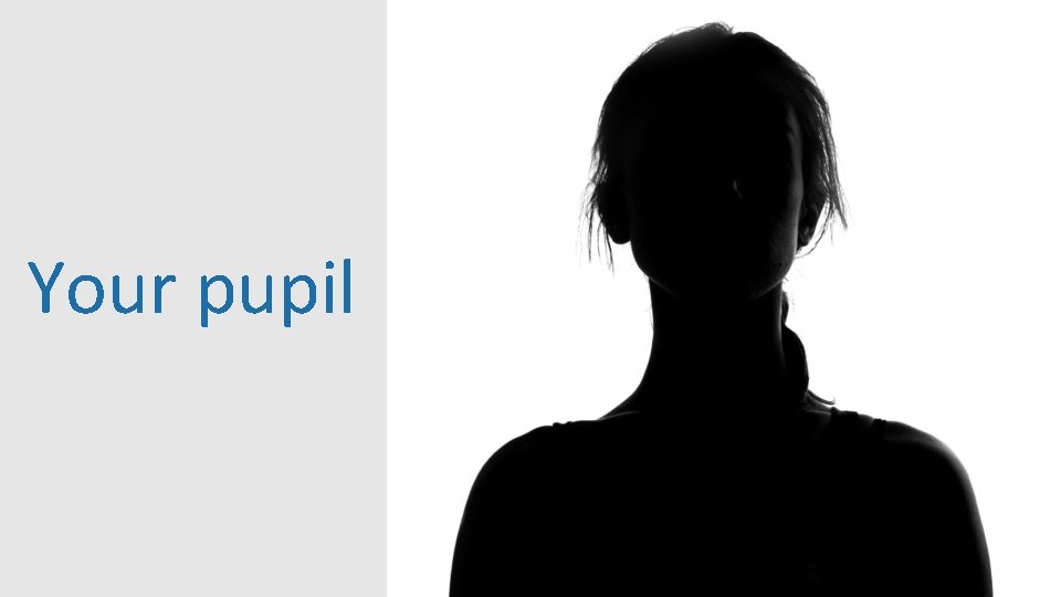 Your pupil 12 Your pupil 12