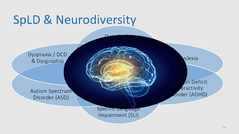 Sp. LD & Neurodiversity Dyscalculia Dyspraxia / DCD & Dysgraphia Dyslexia Attention Deficit Hyperactivity Sp. LD & Neurodiversity Dyscalculia Dyspraxia / DCD & Dysgraphia Dyslexia Attention Deficit Hyperactivity