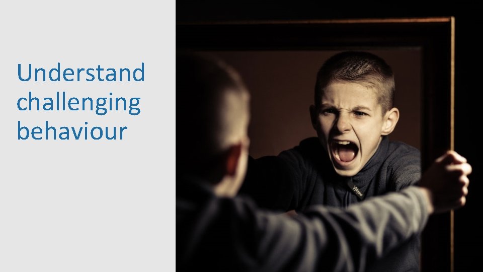 Understand challenging behaviour 24 Understand challenging behaviour 24