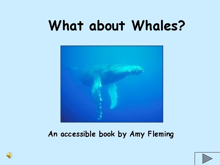 What about Whales? An accessible book by Amy Fleming 