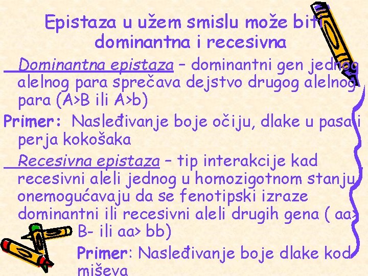 Epistaza u užem smislu može biti dominantna i recesivna Dominantna epistaza – dominantni gen