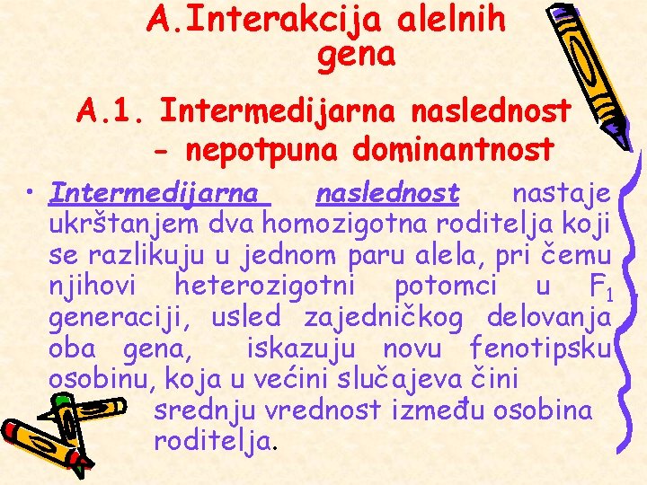 A. Interakcija alelnih gena A. 1. Intermedijarna naslednost - nepotpuna dominantnost • Intermedijarna naslednost