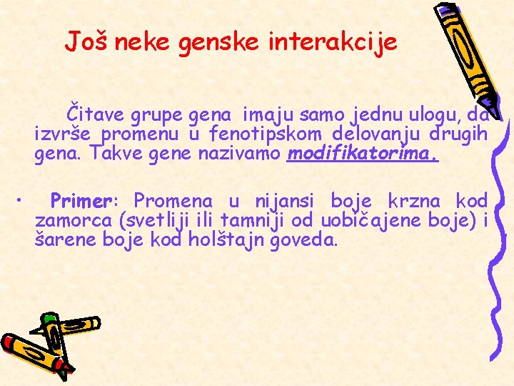 Još neke genske interakcije Čitave grupe gena imaju samo jednu ulogu, da izvrše promenu