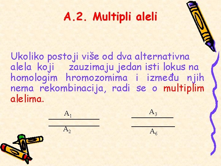 A. 2. Multipli aleli Ukoliko postoji više od dva alternativna alela koji zauzimaju jedan