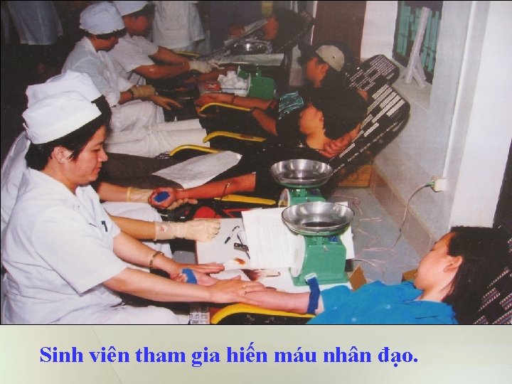 Sinh viên tham gia hiến máu nhân đạo. 