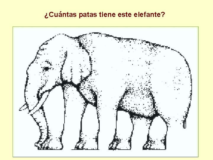 ¿Cuántas patas tiene este elefante? 