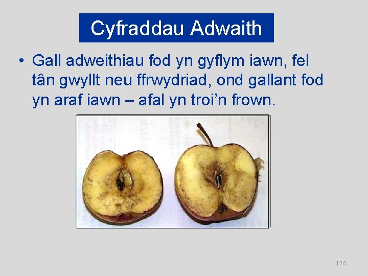 Cyfraddau Adwaith • Gall adweithiau fod yn gyflym iawn, fel tân gwyllt neu ffrwydriad,