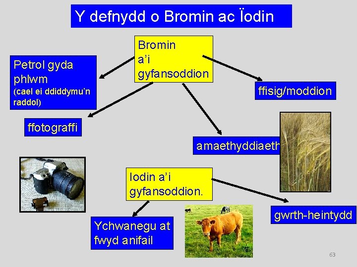 Y defnydd o Bromin ac Ïodin Petrol gyda phlwm Bromin a’i gyfansoddion ffisig/moddion (cael
