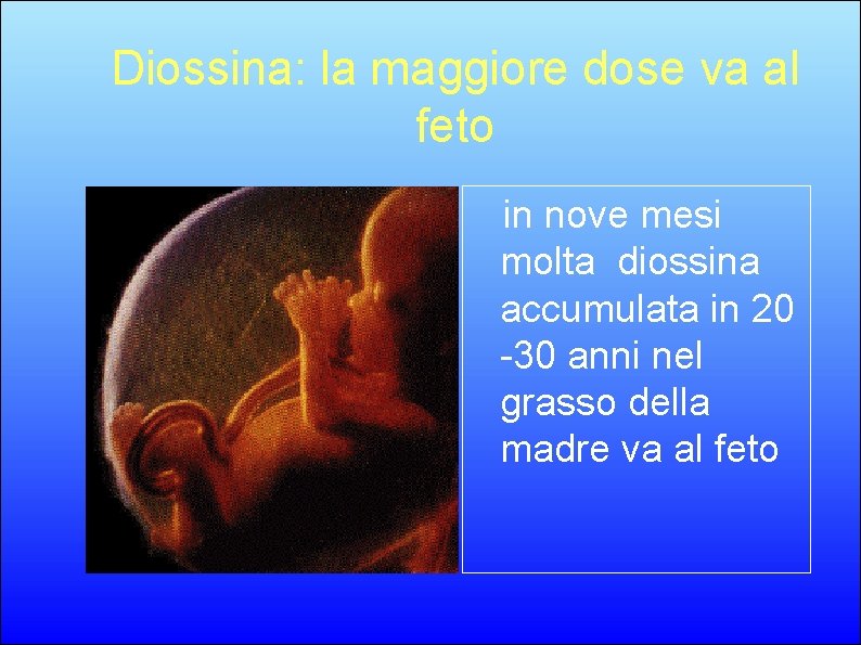 Diossina: la maggiore dose va al feto in nove mesi molta diossina accumulata in