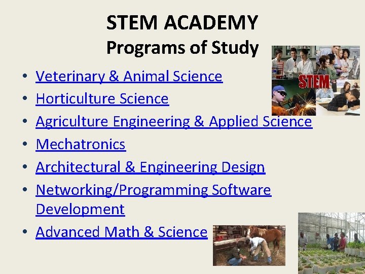 STEM ACADEMY Programs of Study Veterinary & Animal Science Horticulture Science Agriculture Engineering &