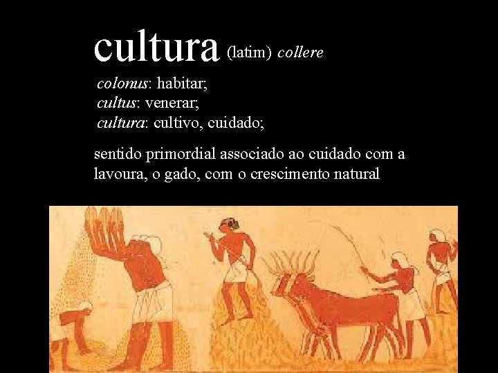 cultura (latim) collere colonus: habitar; cultus: venerar; cultura: cultivo, cuidado; sentido primordial associado ao