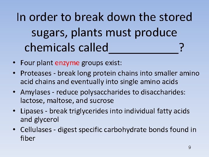 In order to break down the stored sugars, plants must produce chemicals called______? •