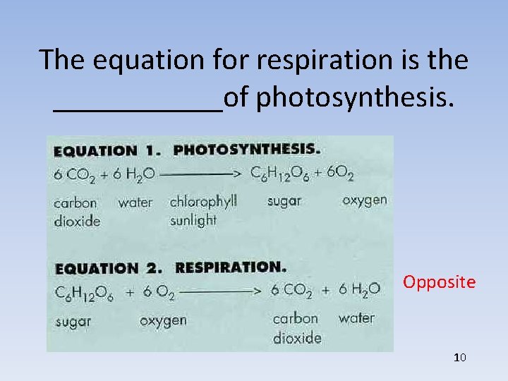 The equation for respiration is the ______of photosynthesis. Opposite 10 