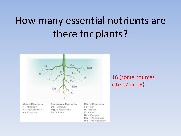 How many essential nutrients are there for plants? 16 (some sources cite 17 or