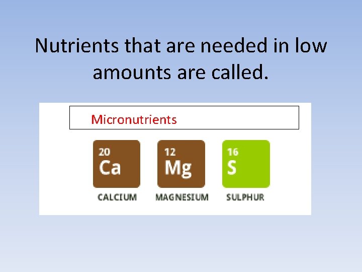 Nutrients that are needed in low amounts are called. Micronutrients 