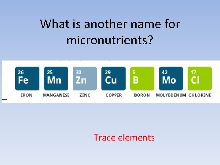 What is another name for micronutrients? Trace elements 