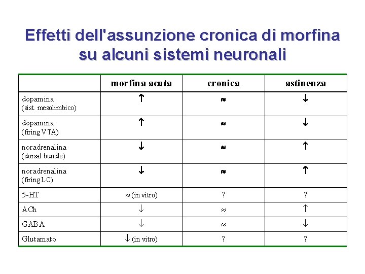 Effetti dell'assunzione cronica di morfina su alcuni sistemi neuronali morfina acuta cronica astinenza 5