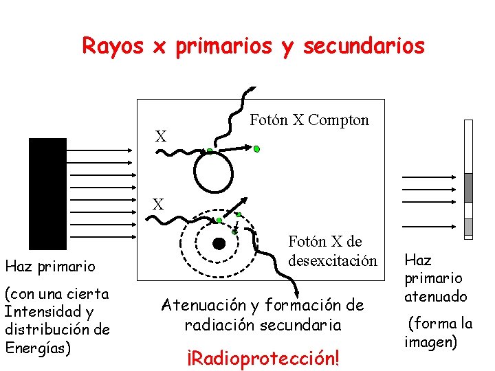 Rayos x primarios y secundarios X Fotón X Compton X Haz primario (con una