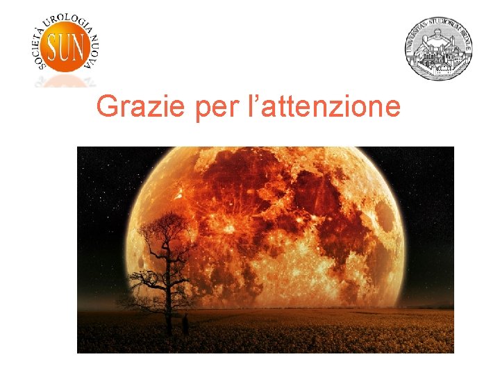Grazie per l’attenzione 