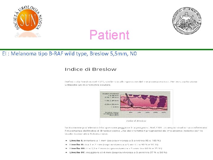 Patient EI : Melanoma tipo B-RAF wild type, Breslow 5, 5 mm, N 0