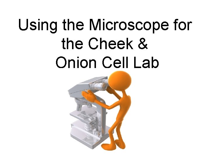 Using the Microscope for the Cheek & Onion Cell Lab 