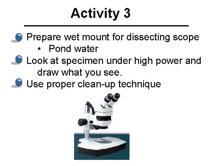 Activity 3 Prepare wet mount for dissecting scope • Pond water Look at specimen