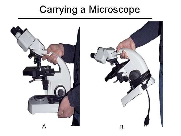 Carrying a Microscope A B 