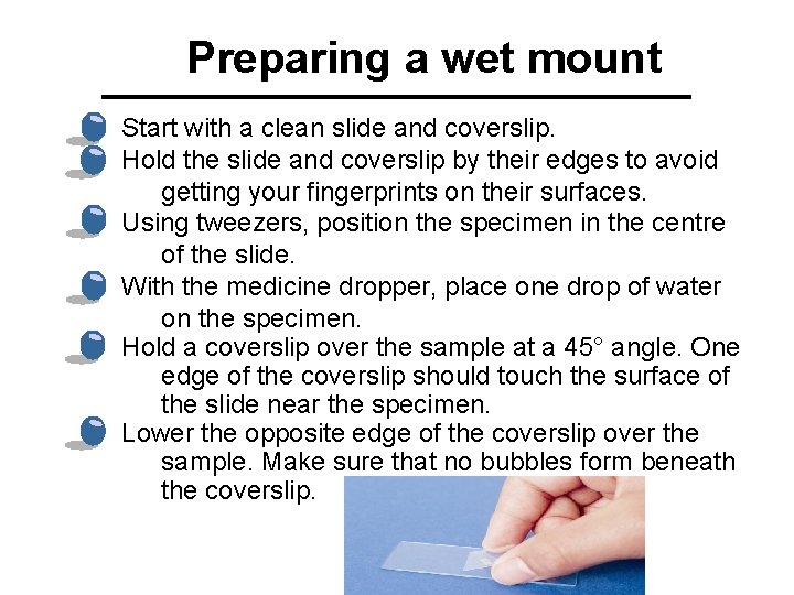 Preparing a wet mount Start with a clean slide and coverslip. Hold the slide