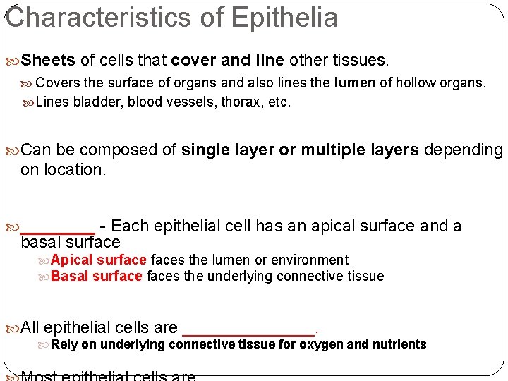 Characteristics of Epithelia Sheets of cells that cover and line other tissues. Covers the