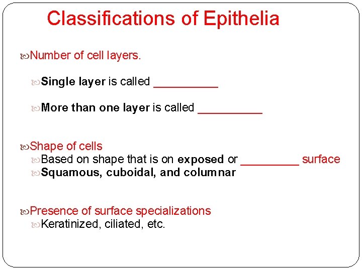 Classifications of Epithelia Number of cell layers. Single layer is called _____ More than