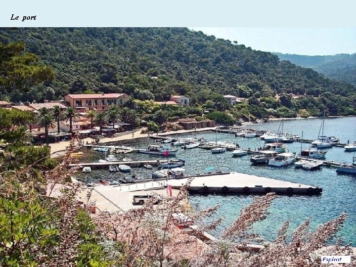 Le port 