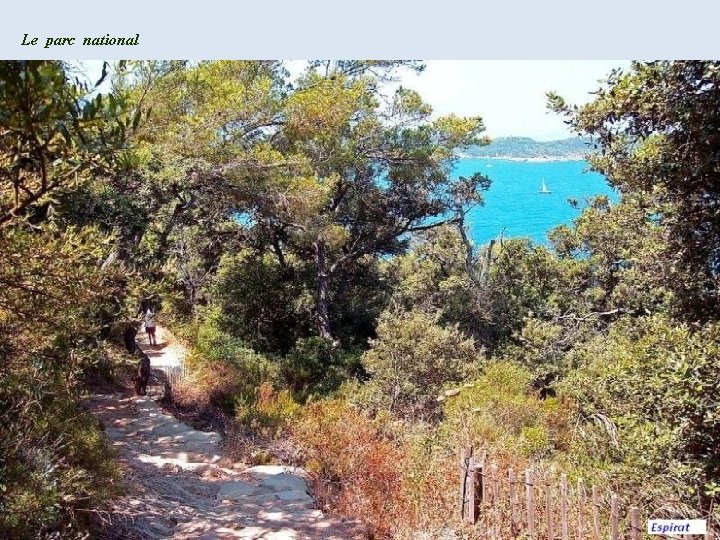 Le parc national 