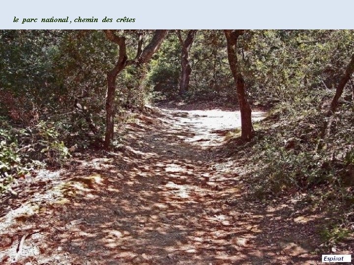 le parc national , chemin des crêtes 
