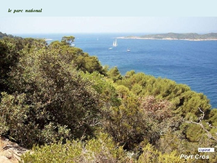 le parc national 