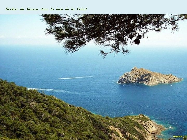 Rocher du Rascas dans la baie de la Palud 