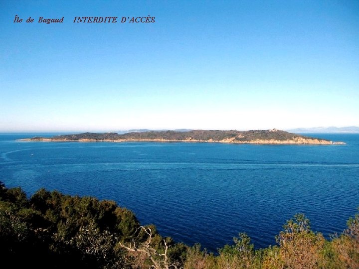 Île de Bagaud INTERDITE D’ACCÈS 